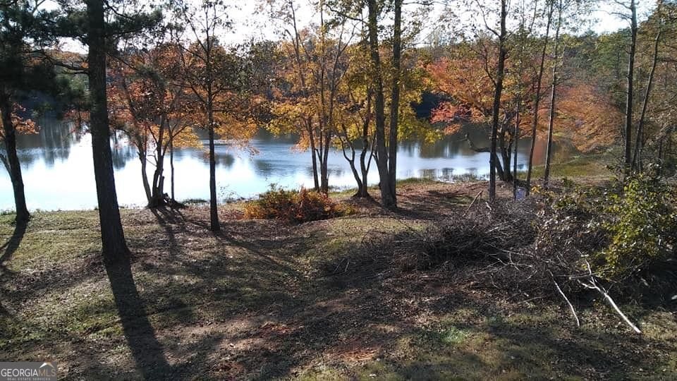 9720 Poole Road Villa Rica - 57