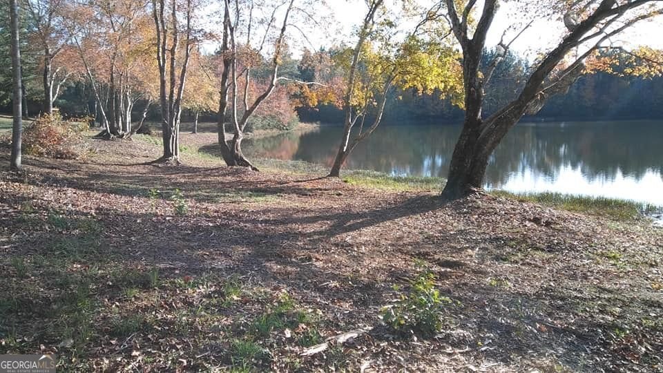 9720 Poole Road Villa Rica - 62