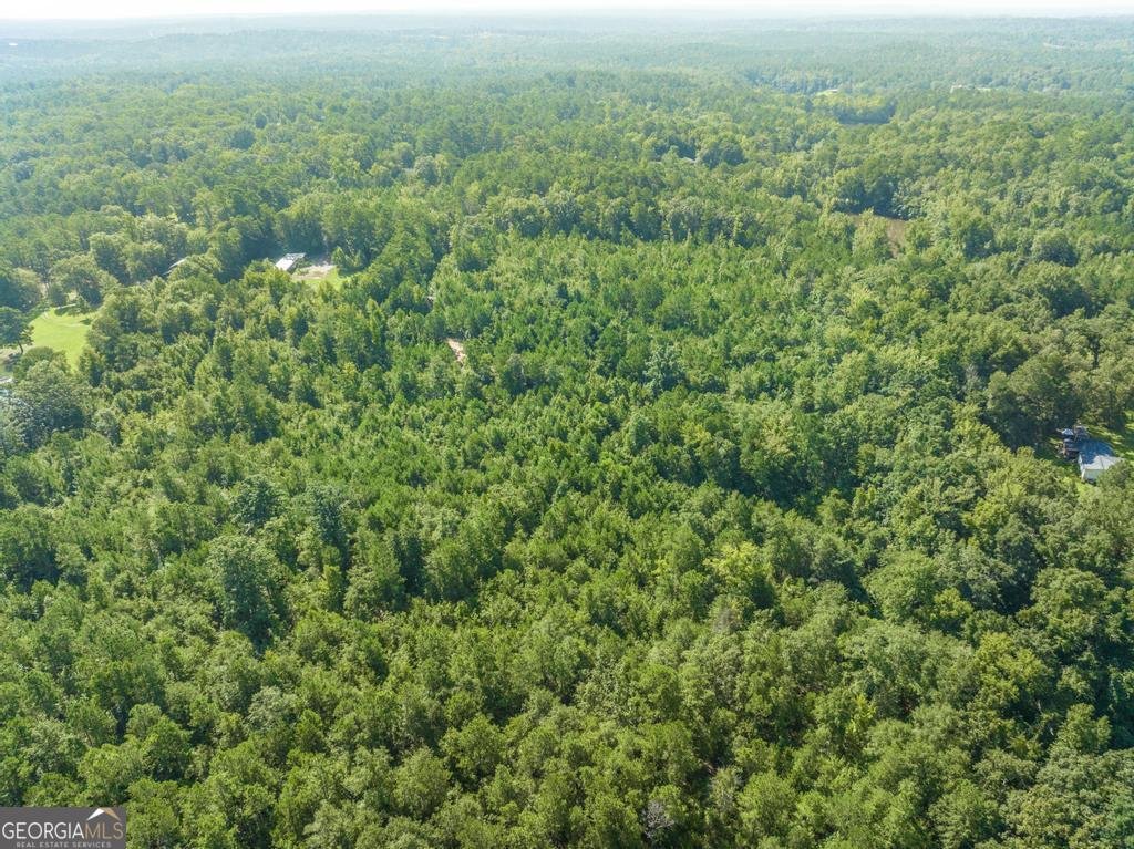169 Stagecoach Drive Macon - 21