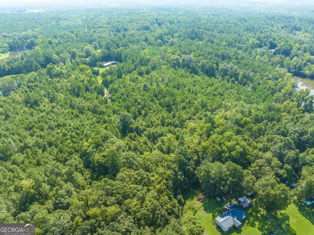 169 Stagecoach Drive Macon - 22