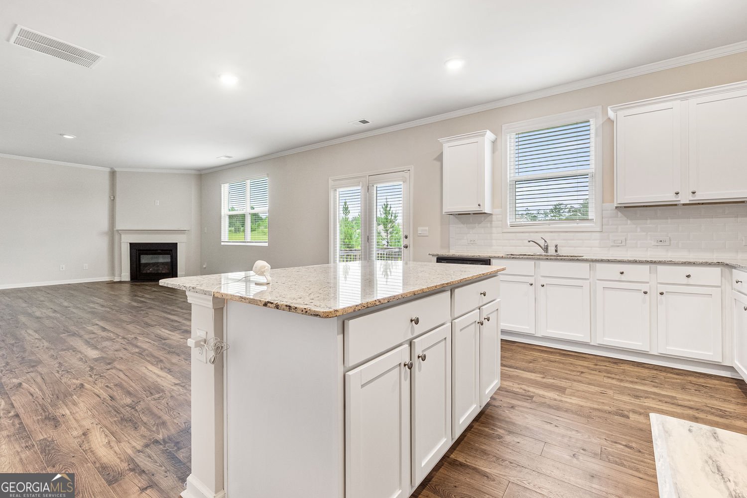 594 Sweet Bay Lane Dallas - 11