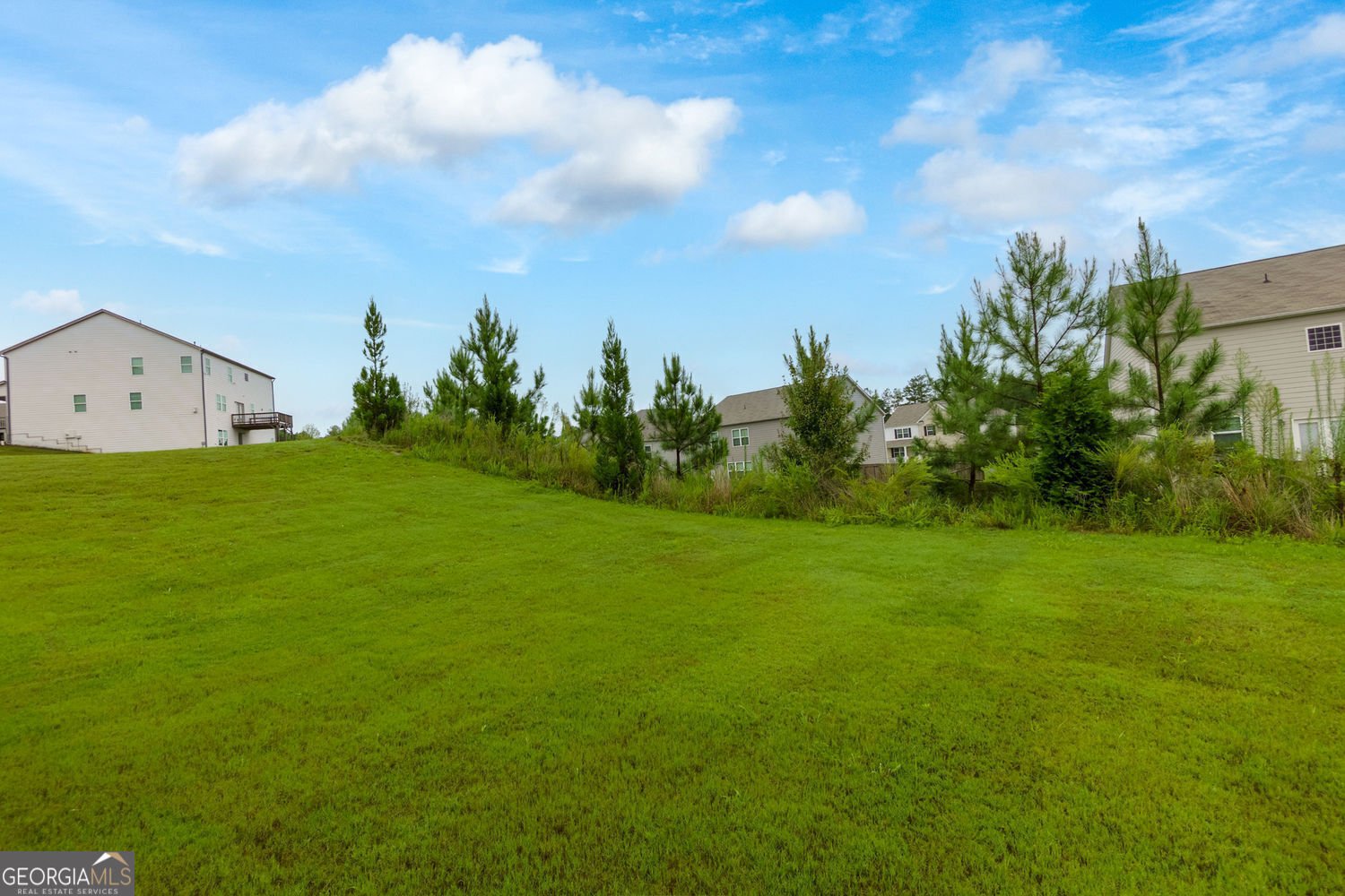 594 Sweet Bay Lane Dallas - 40