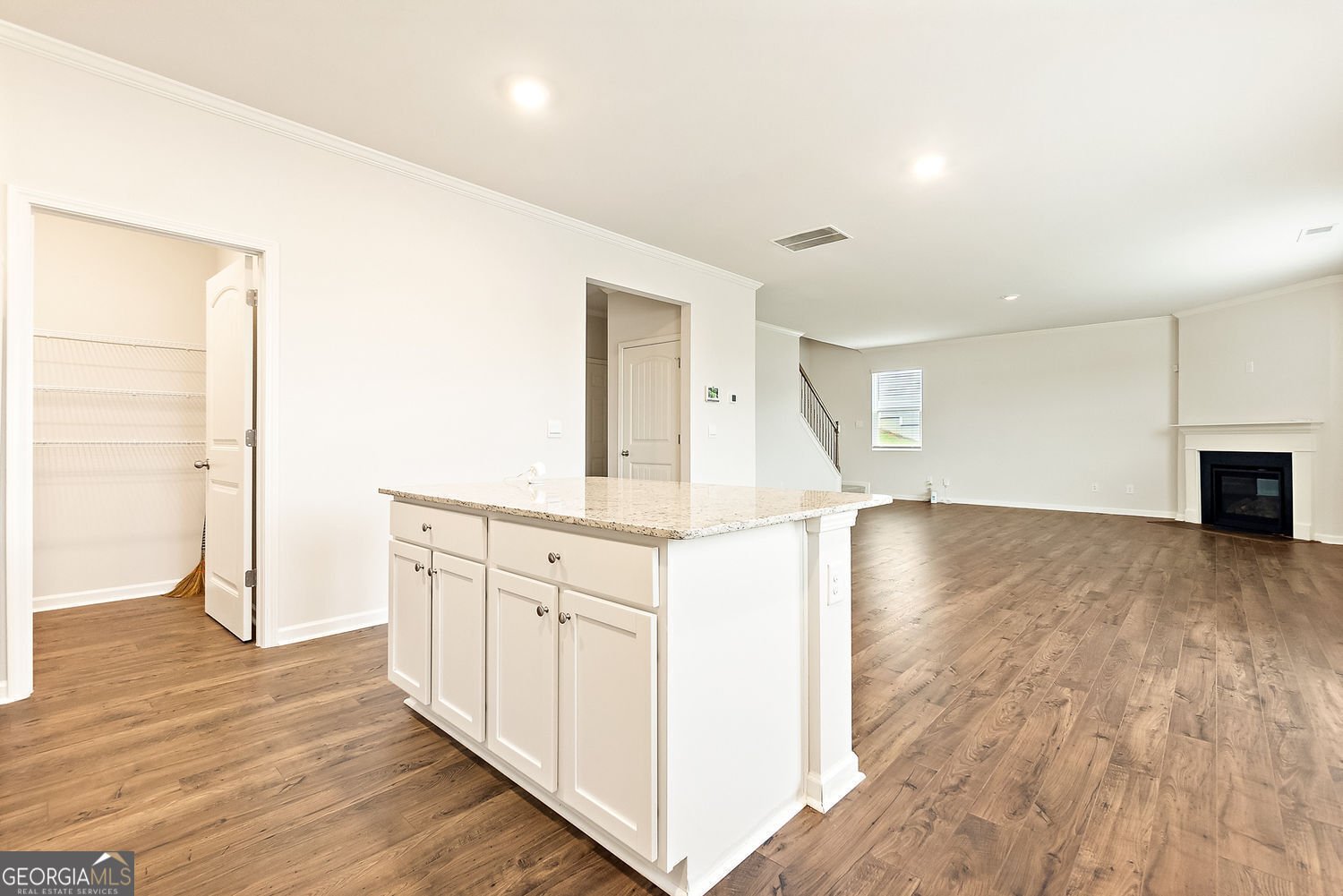 594 Sweet Bay Lane Dallas - 9