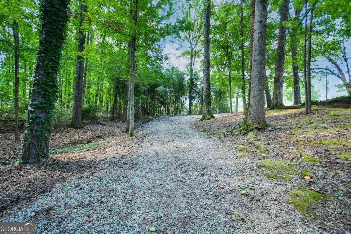 6235 Cornelia Drive Douglasville - 26