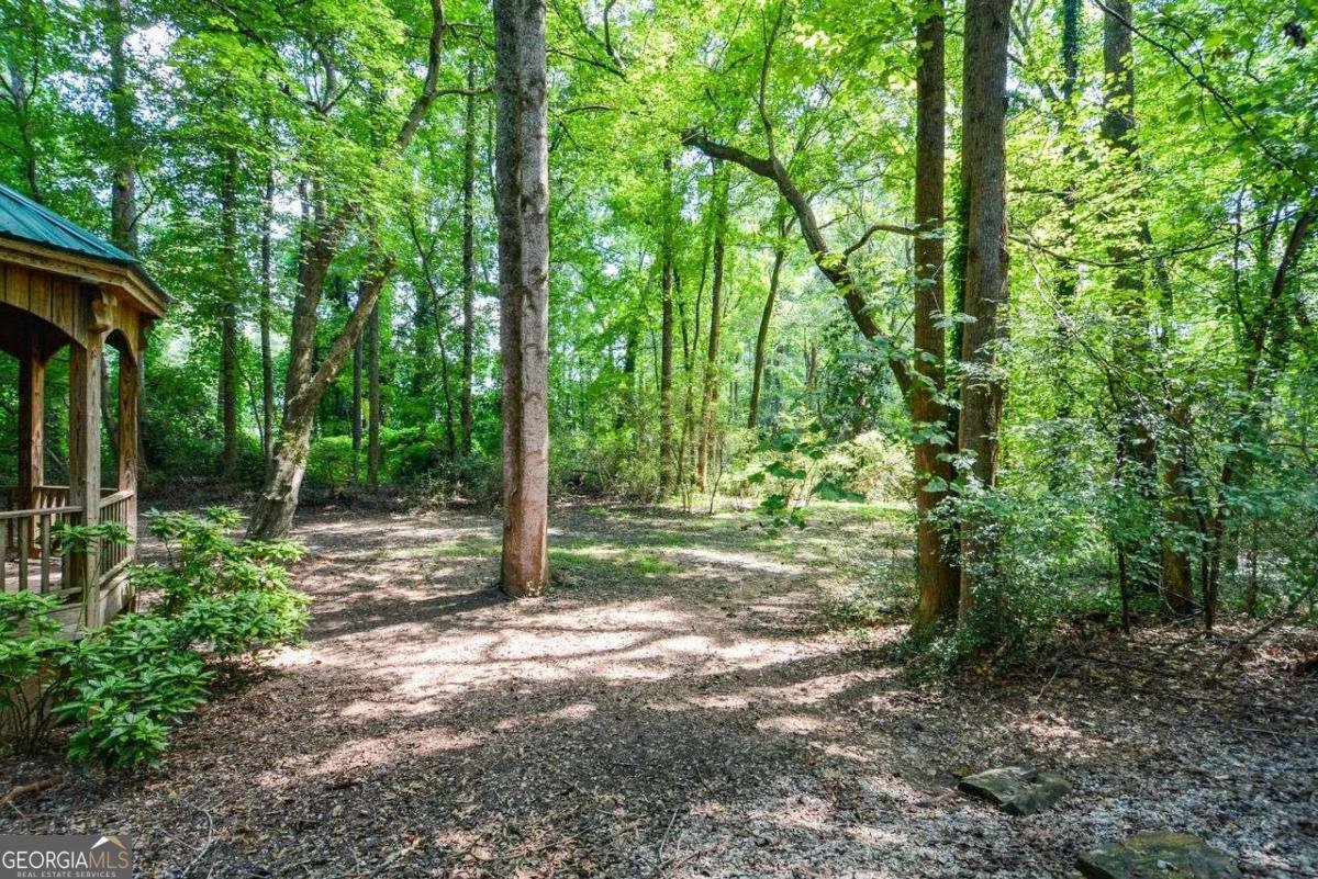 6235 Cornelia Drive Douglasville - 31