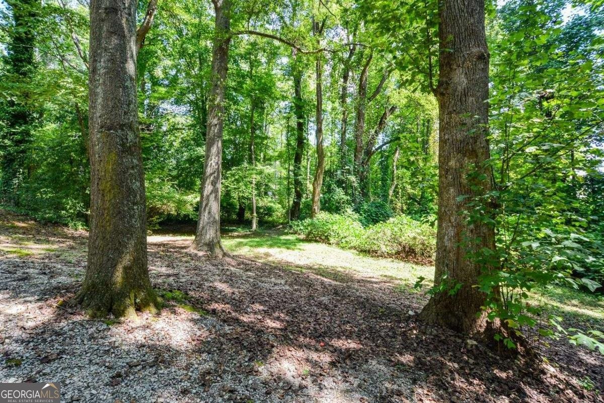 6235 Cornelia Drive Douglasville - 63
