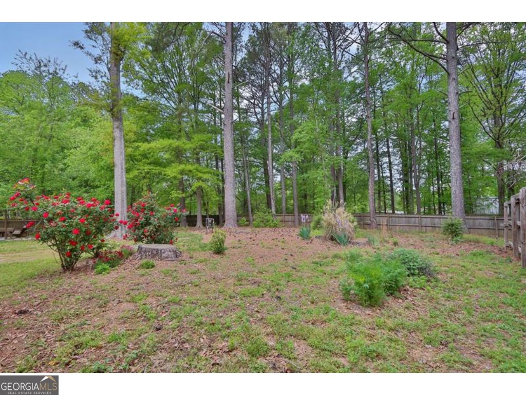 191 Gates Mill Drive Lawrenceville - 56