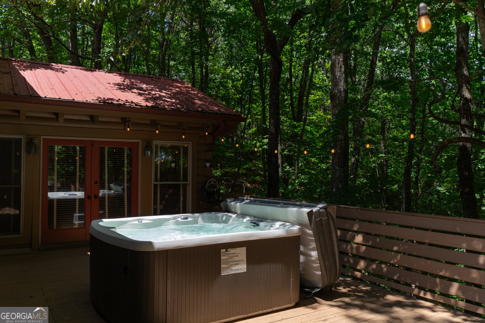 1427 Cherry Lake Drive Blue Ridge - 1