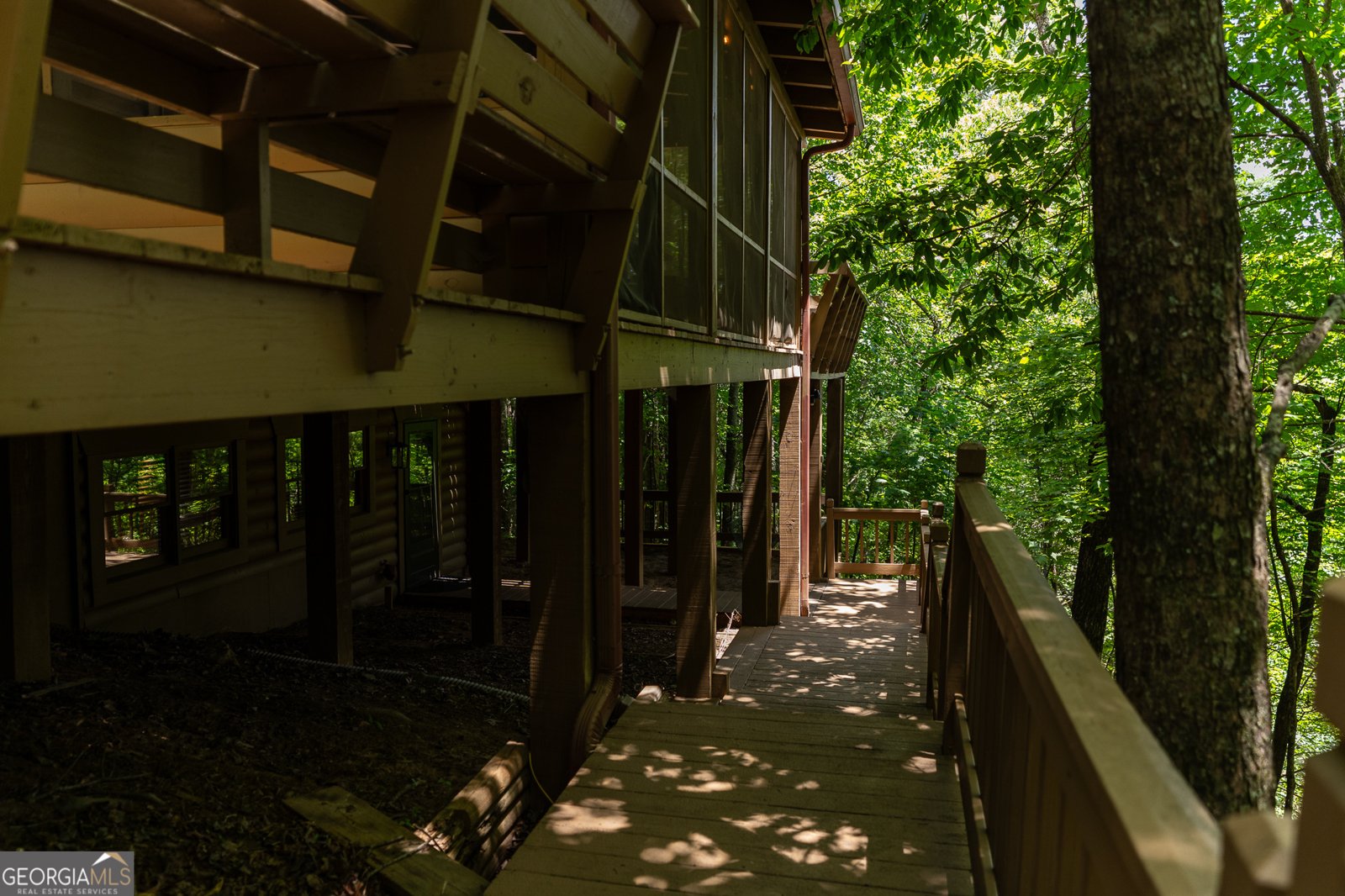 1427 Cherry Lake Drive Blue Ridge - 10