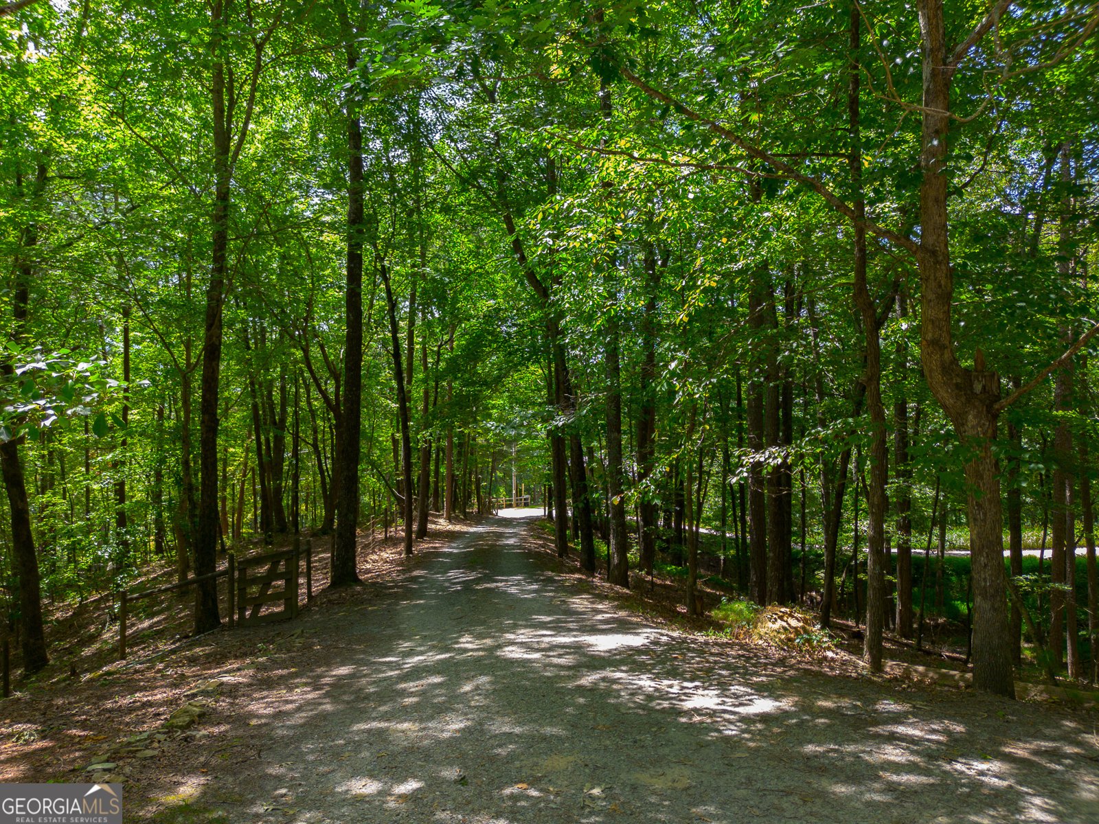 1427 Cherry Lake Drive Blue Ridge - 11