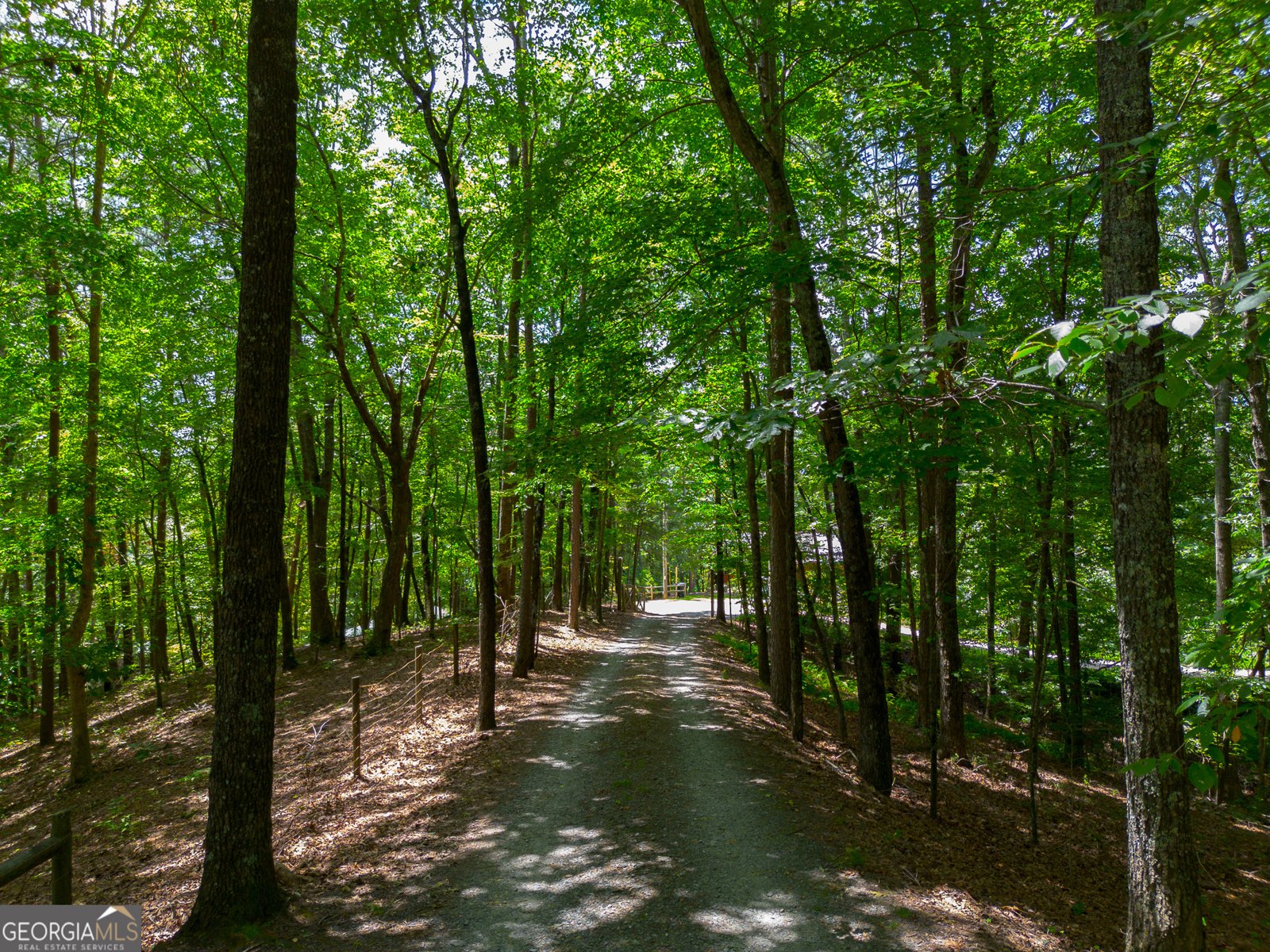 1427 Cherry Lake Drive Blue Ridge - 12