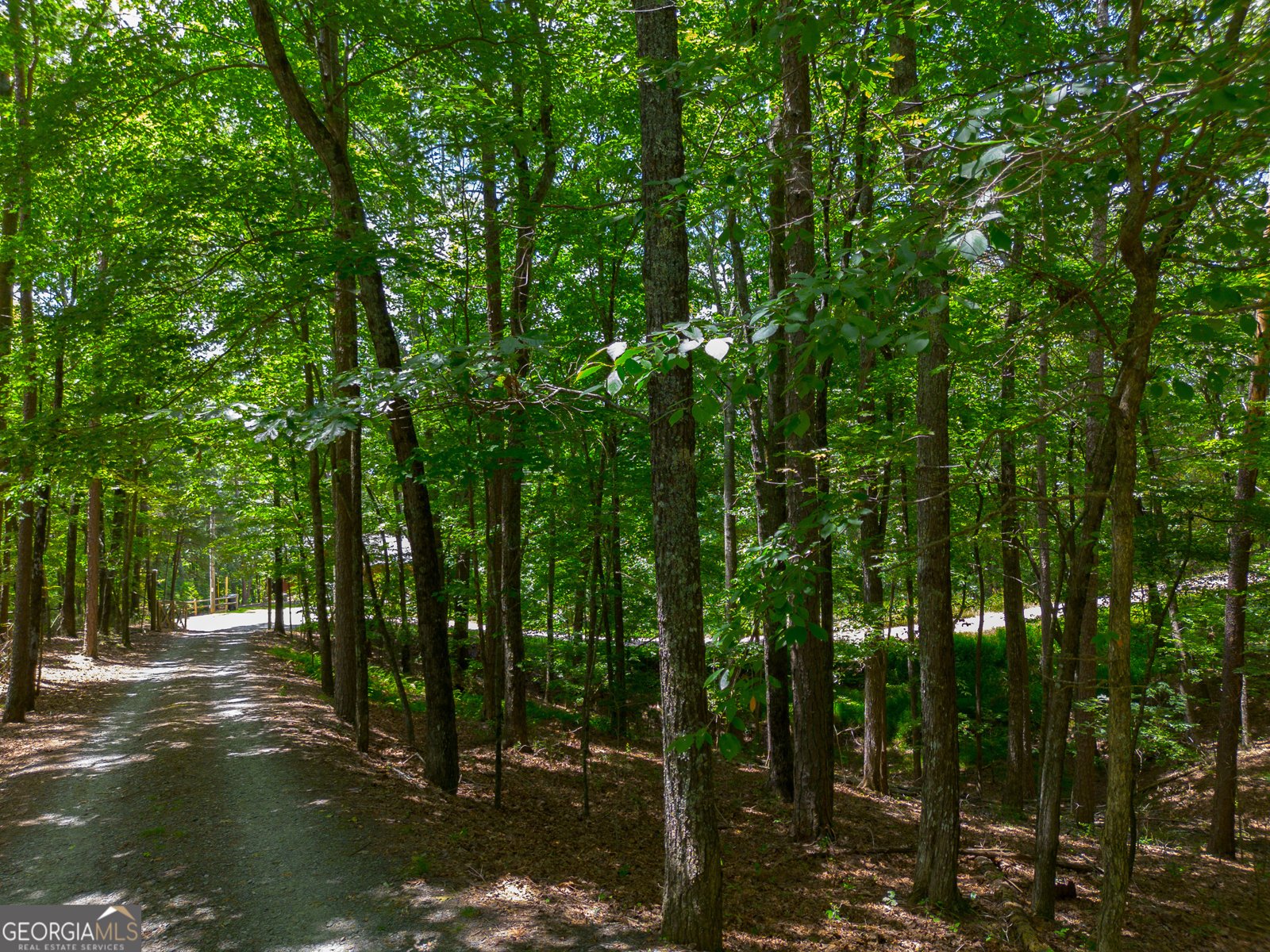 1427 Cherry Lake Drive Blue Ridge - 13