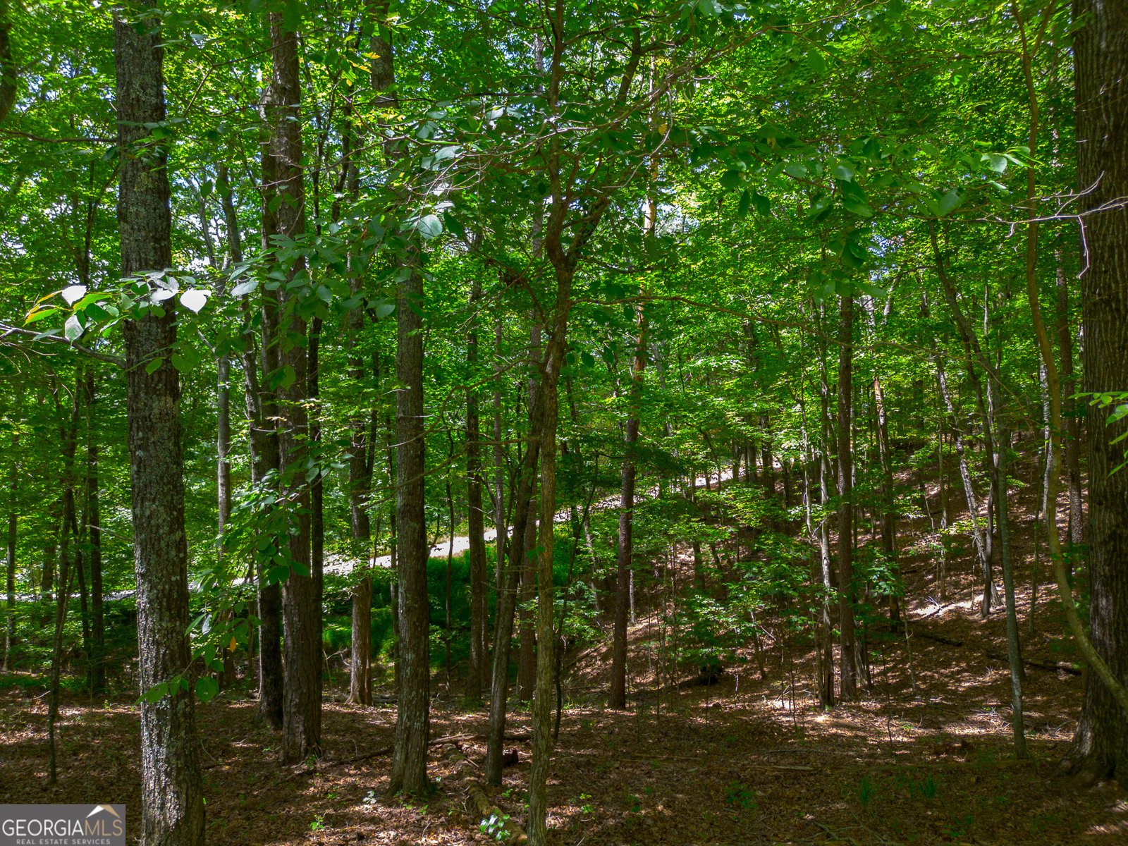 1427 Cherry Lake Drive Blue Ridge - 14