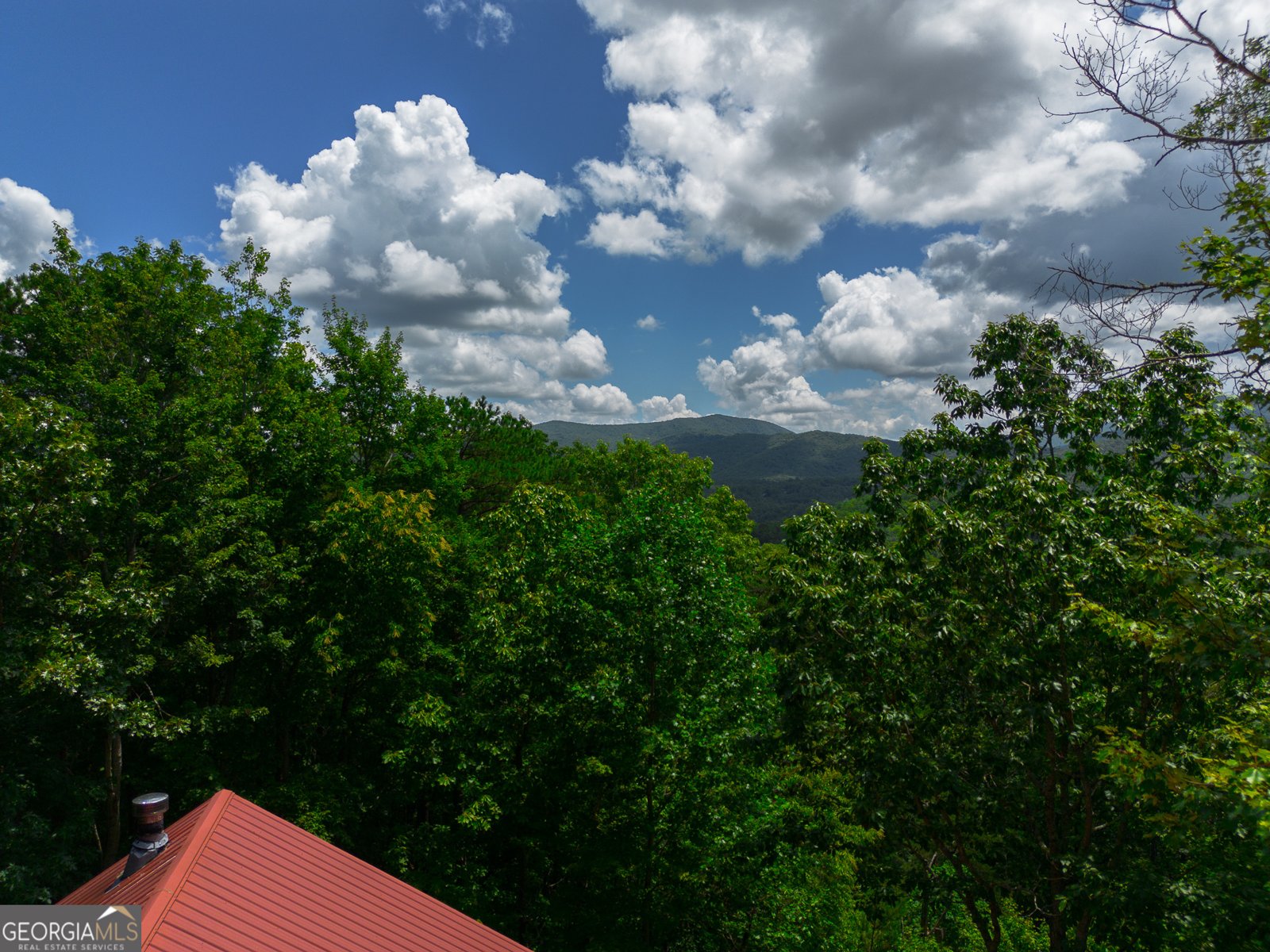 1427 Cherry Lake Drive Blue Ridge - 16