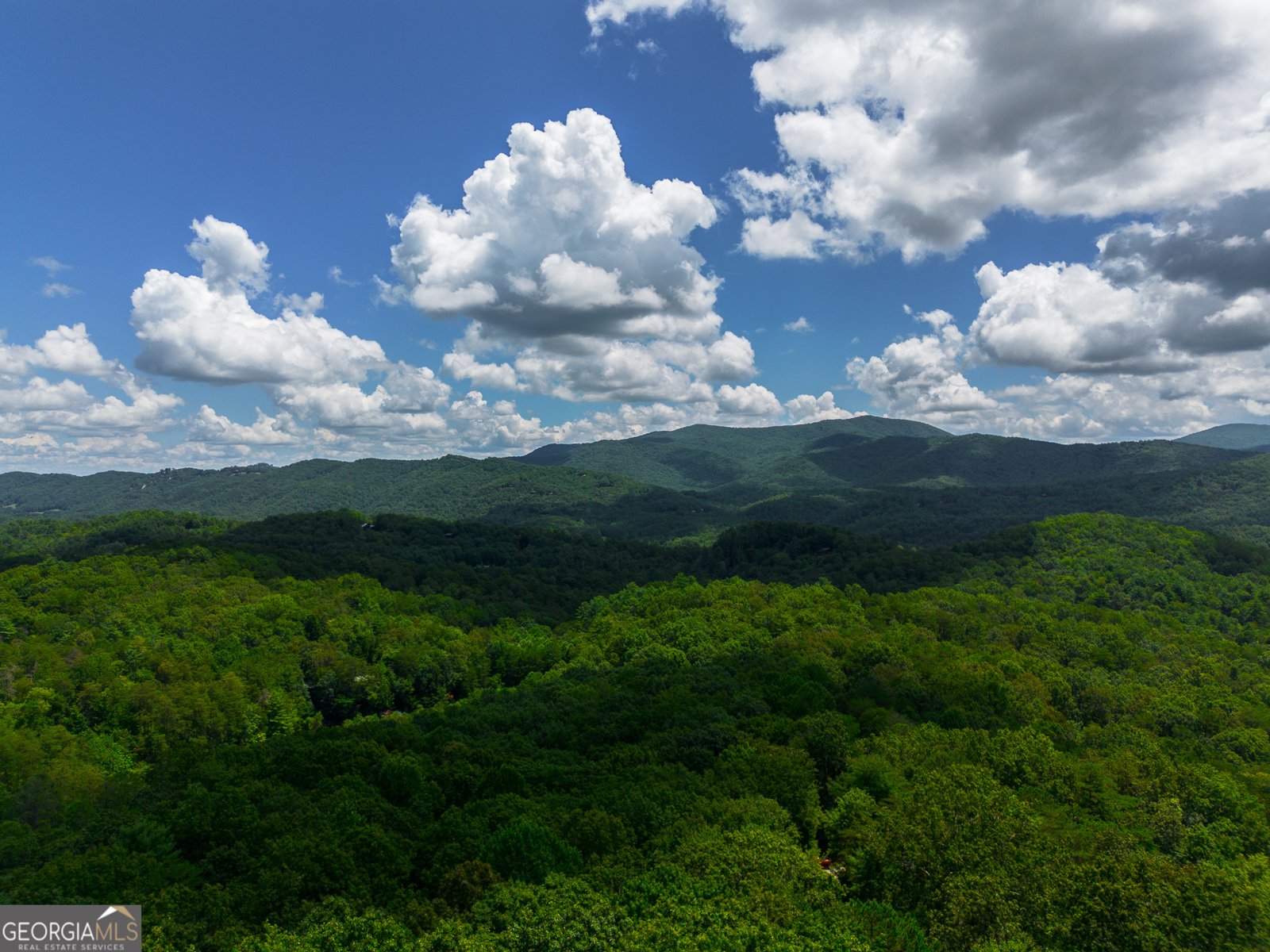 1427 Cherry Lake Drive Blue Ridge - 17