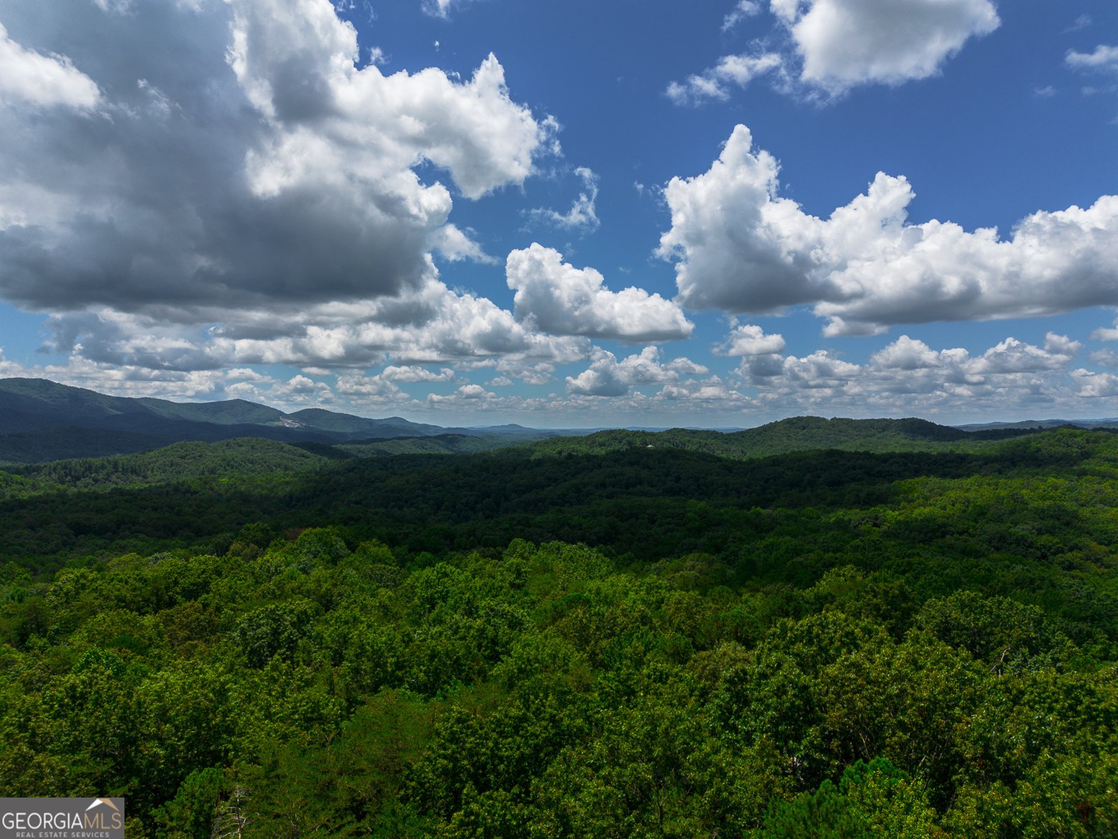 1427 Cherry Lake Drive Blue Ridge - 18