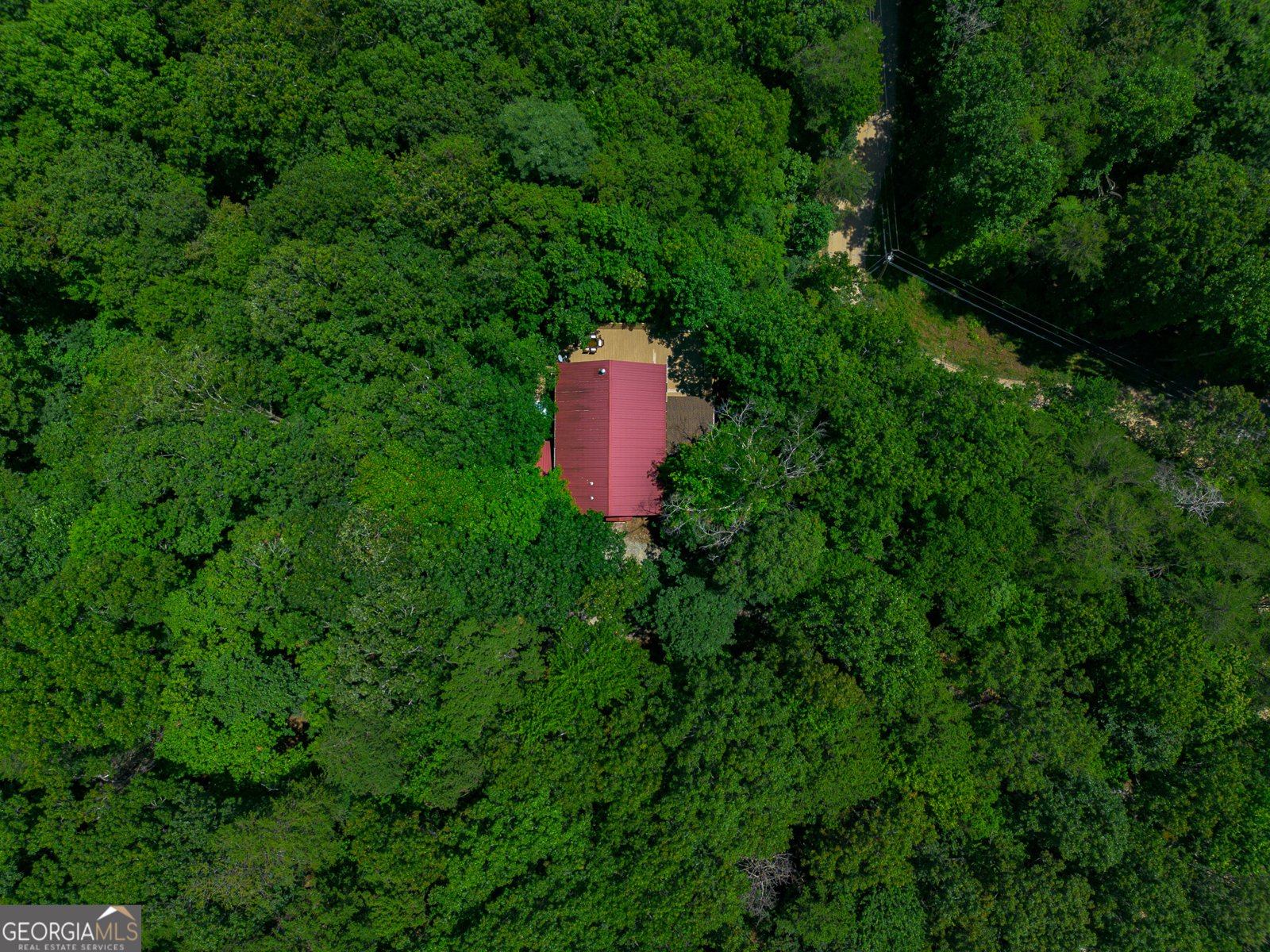 1427 Cherry Lake Drive Blue Ridge - 19