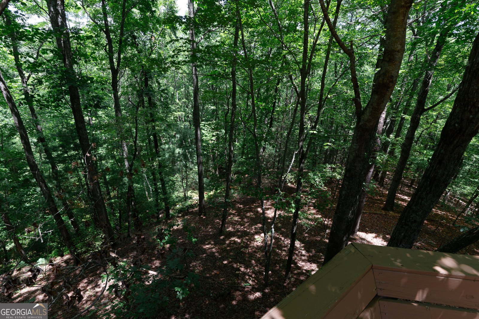 1427 Cherry Lake Drive Blue Ridge - 2