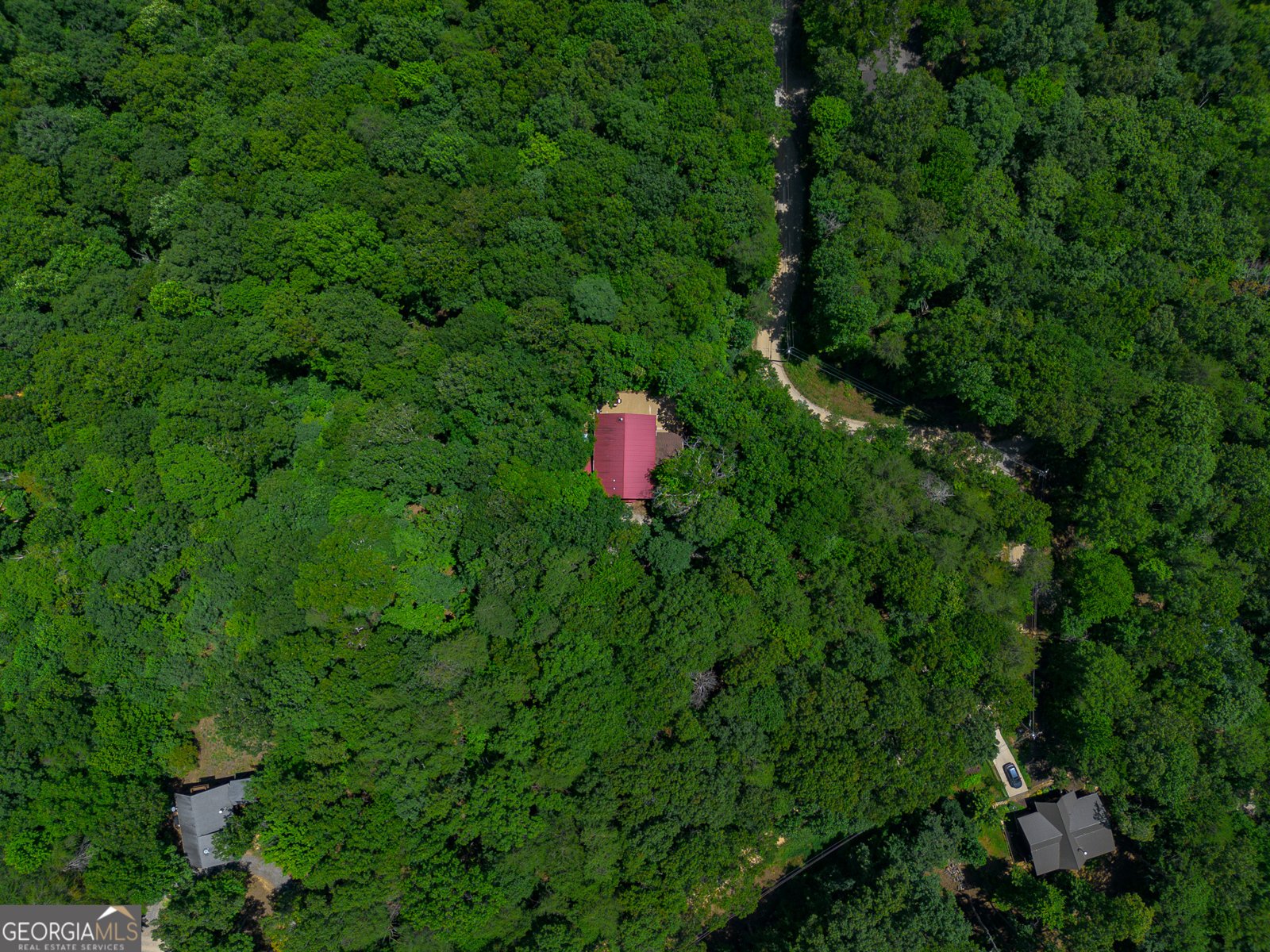 1427 Cherry Lake Drive Blue Ridge - 20