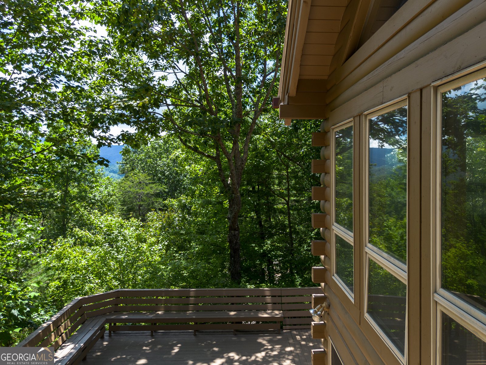 1427 Cherry Lake Drive Blue Ridge - 22