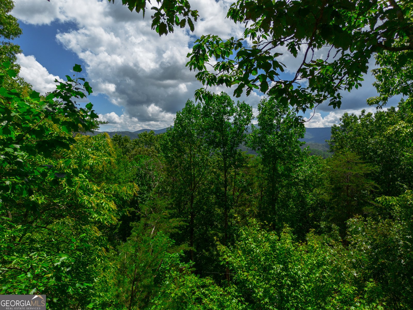 1427 Cherry Lake Drive Blue Ridge - 23