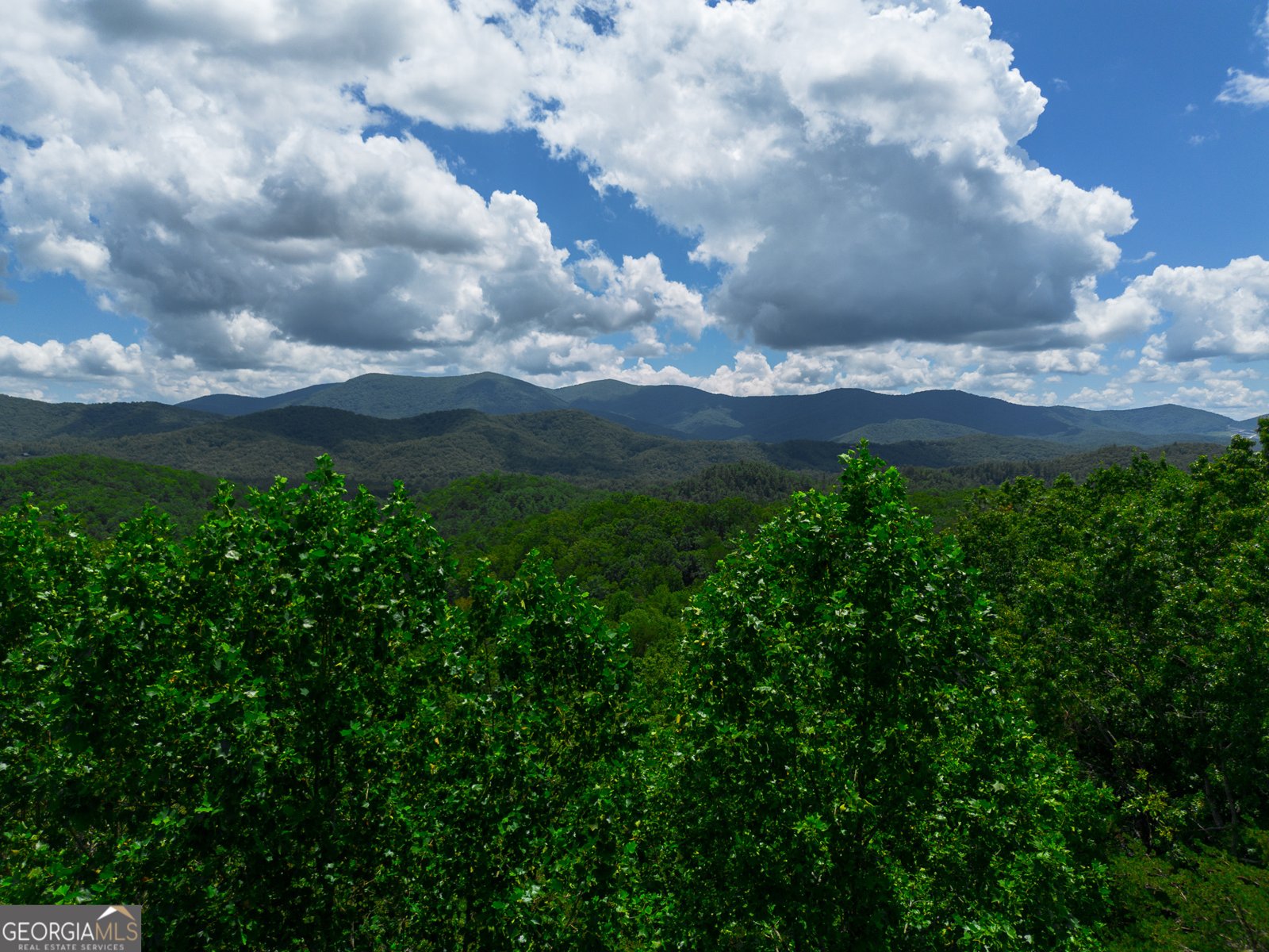 1427 Cherry Lake Drive Blue Ridge - 24