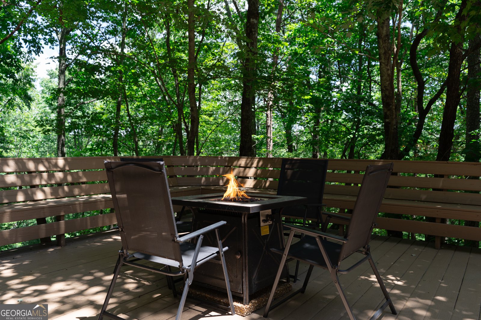 1427 Cherry Lake Drive Blue Ridge - 27