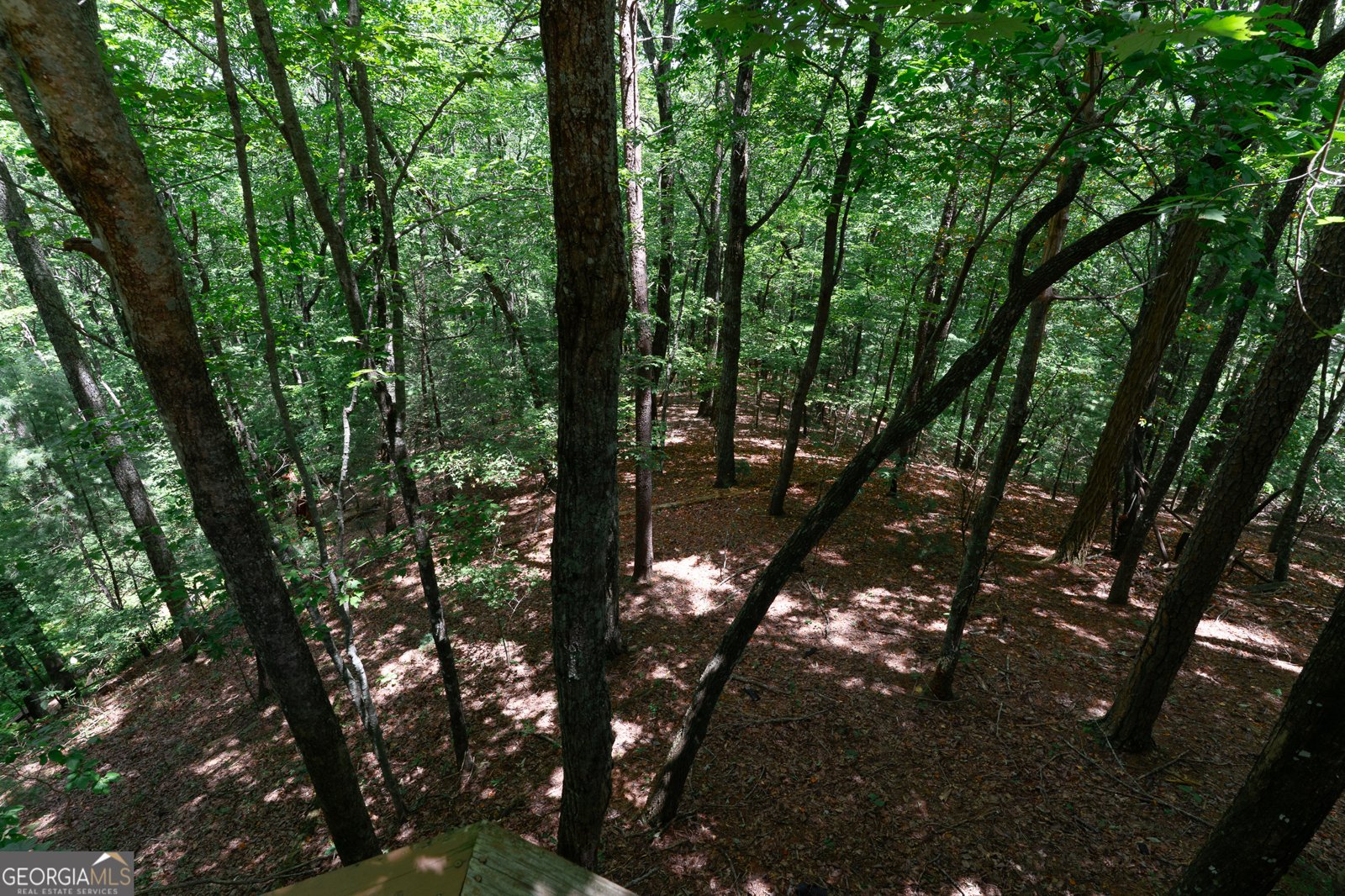 1427 Cherry Lake Drive Blue Ridge - 3