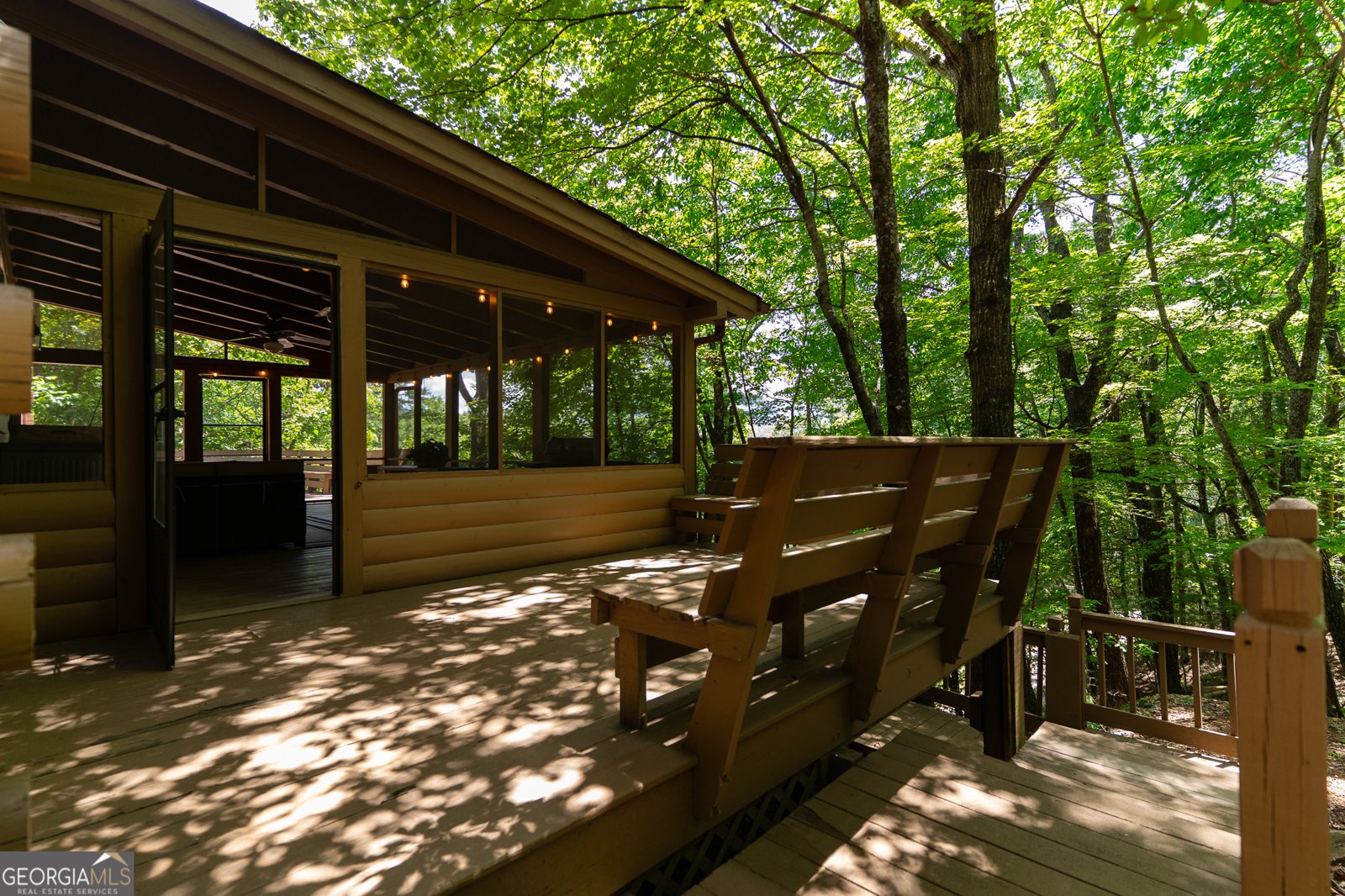 1427 Cherry Lake Drive Blue Ridge - 6