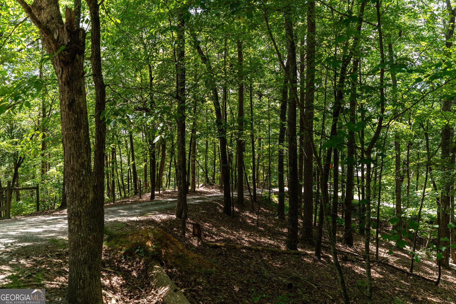 1427 Cherry Lake Drive Blue Ridge - 7