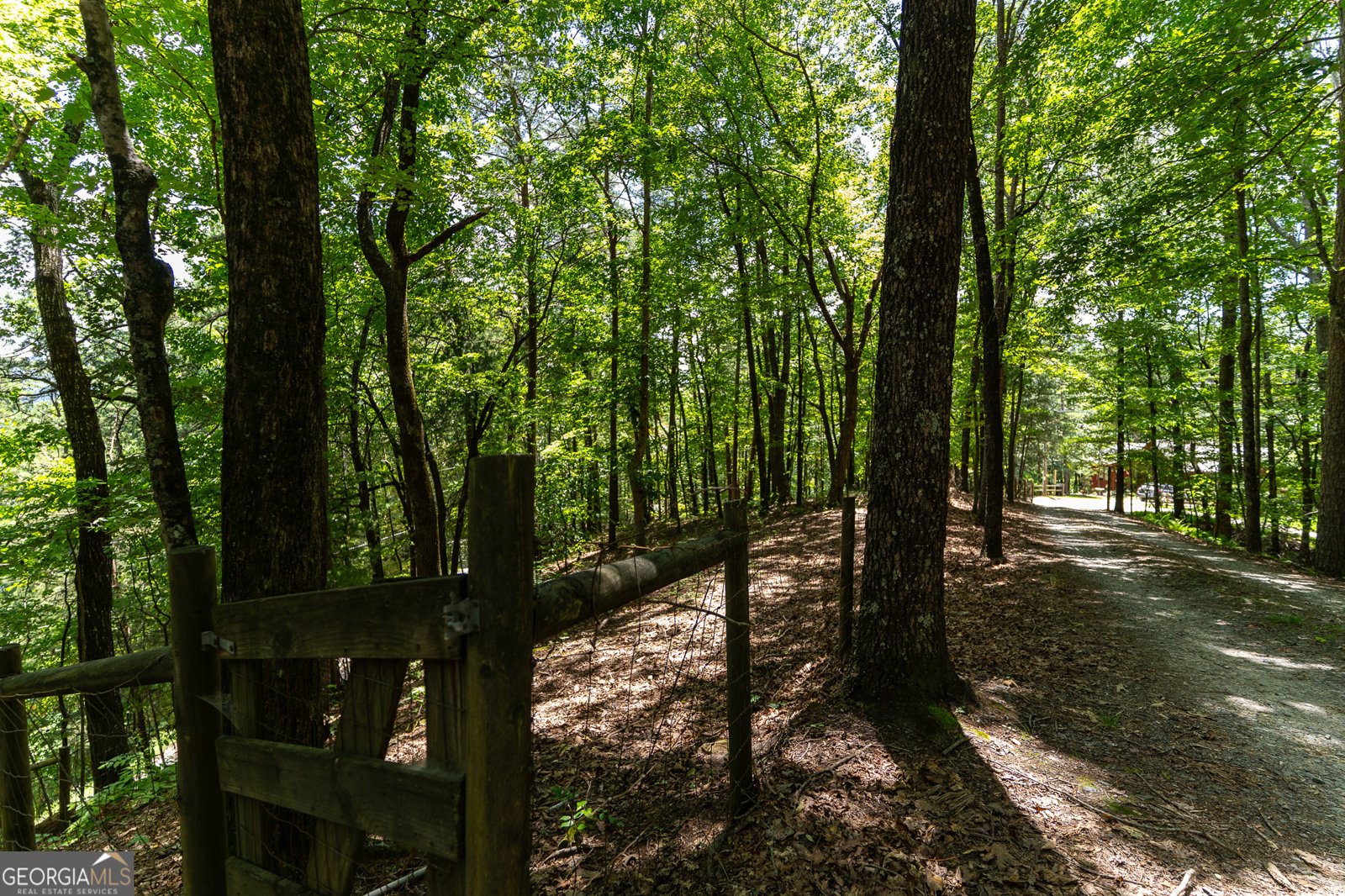 1427 Cherry Lake Drive Blue Ridge - 8