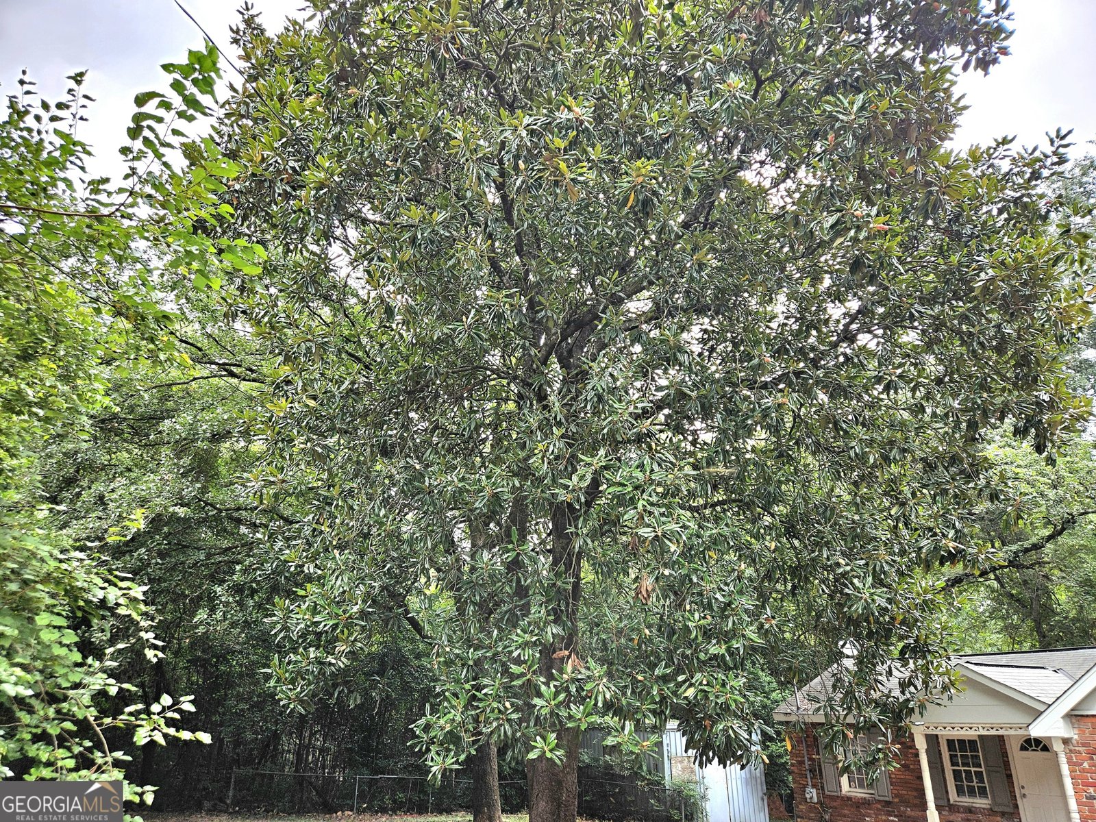 4120 Fairview Drive Columbus - 26