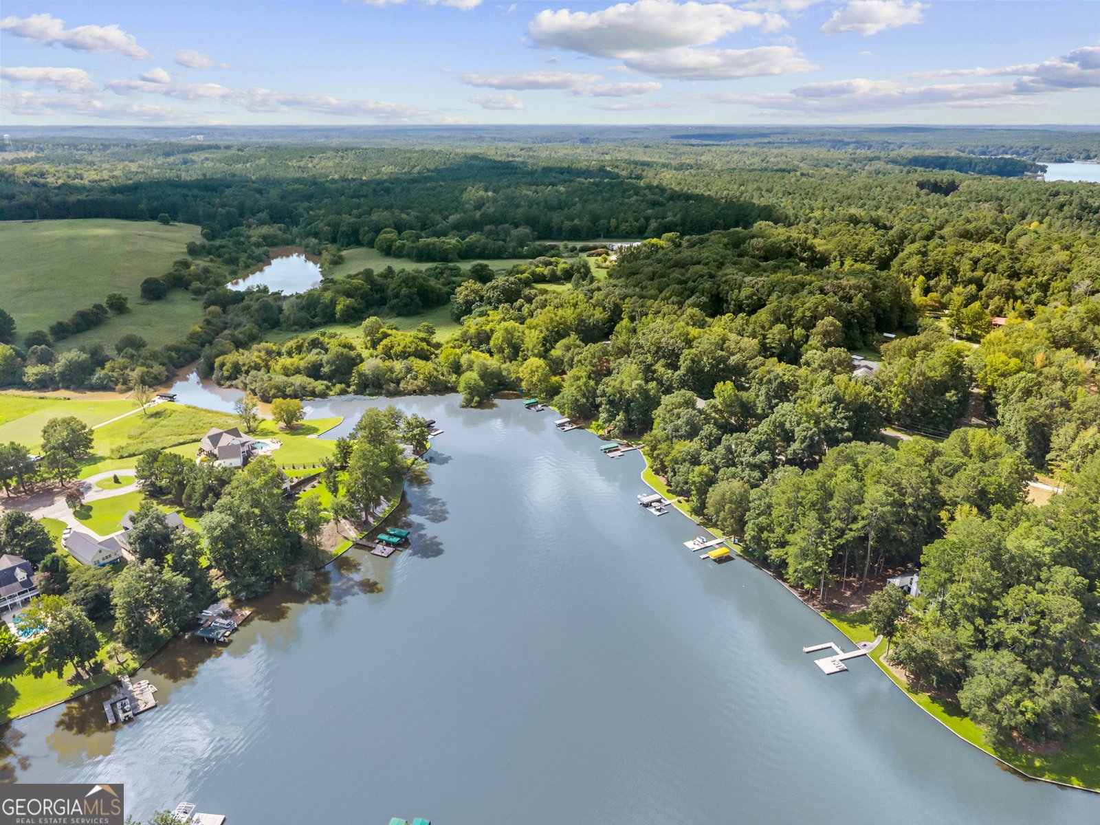 102 Lakeside Drive Buckhead - 51