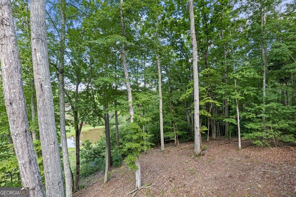 89 Whispering Hawk Court Morganton - 29