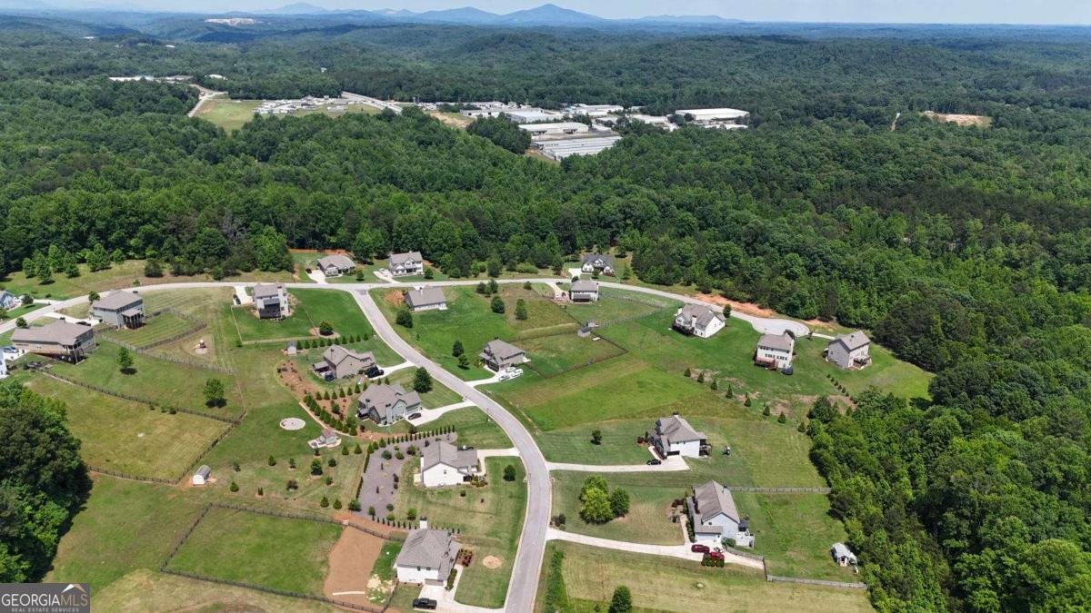 109 Odgers Trail Dawsonville - 10