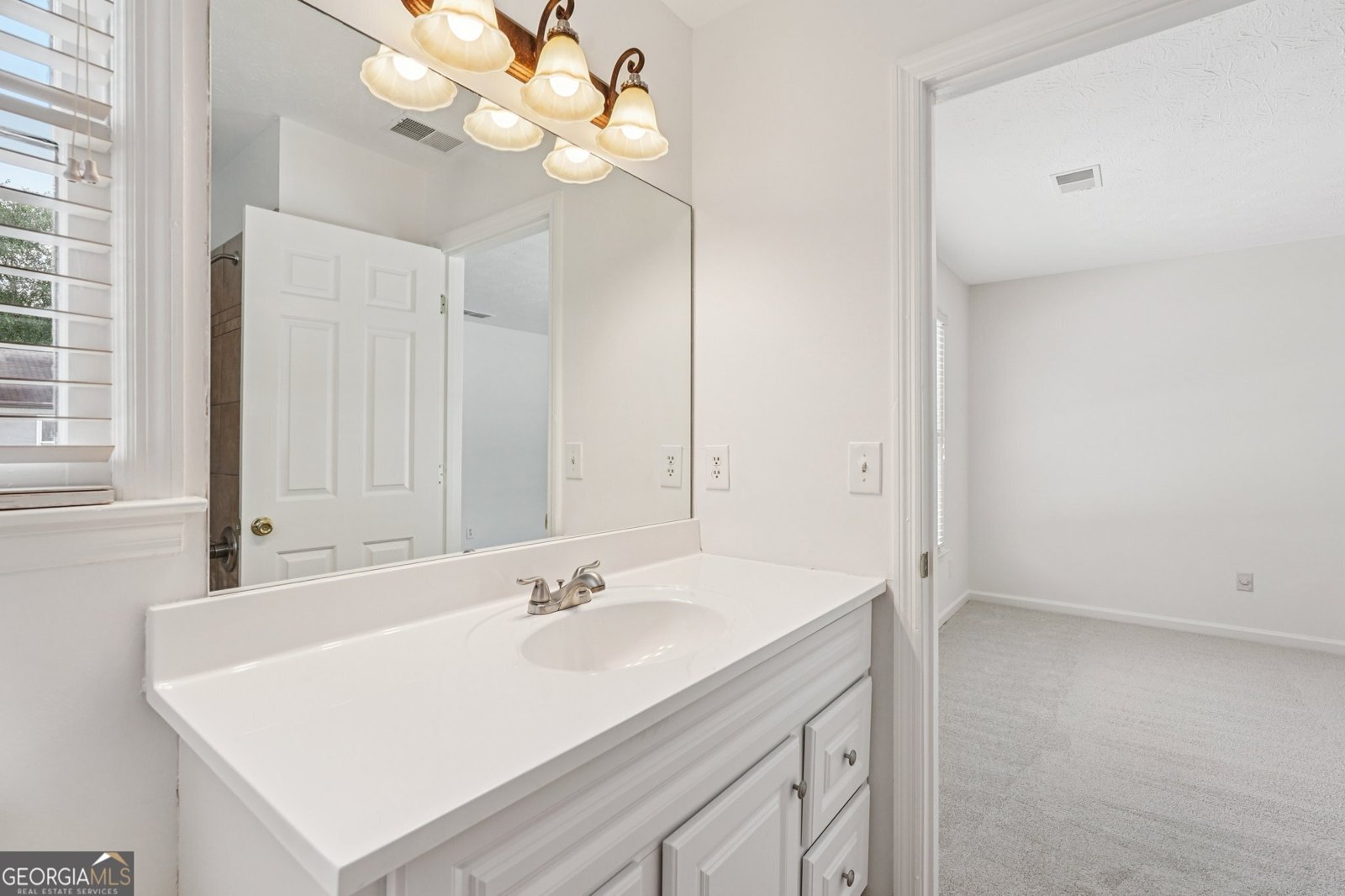 3475 Silver Maple Drive Duluth - 23