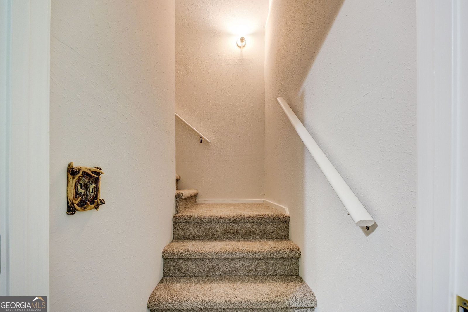 3421 Devils Den Rd Epworth - 14