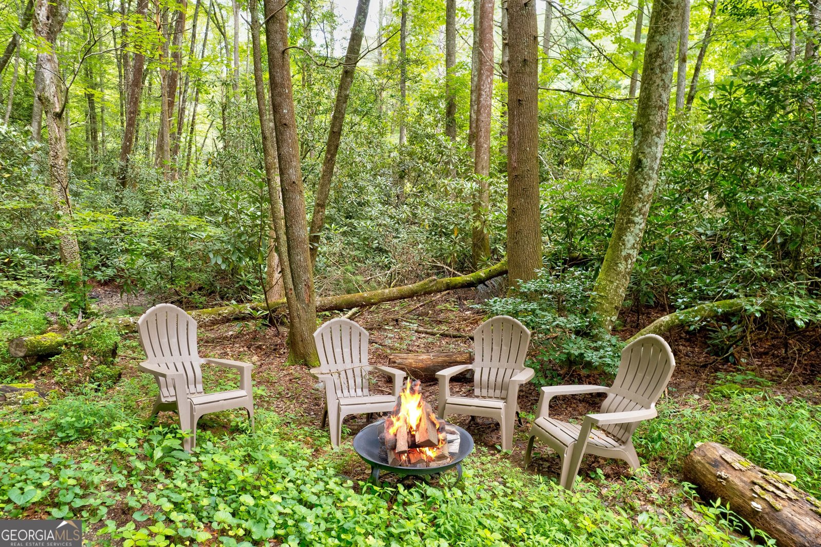 3421 Devils Den Rd Epworth - 7