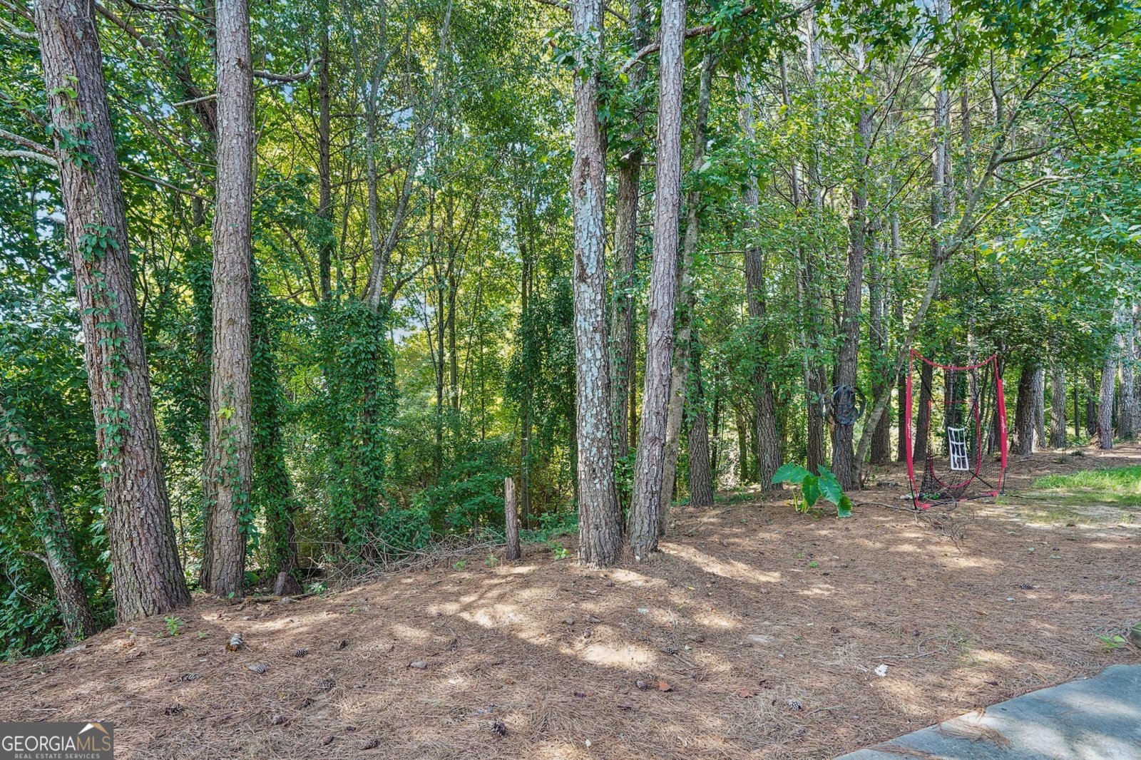369 Turtle Creek Drive Winder - 11