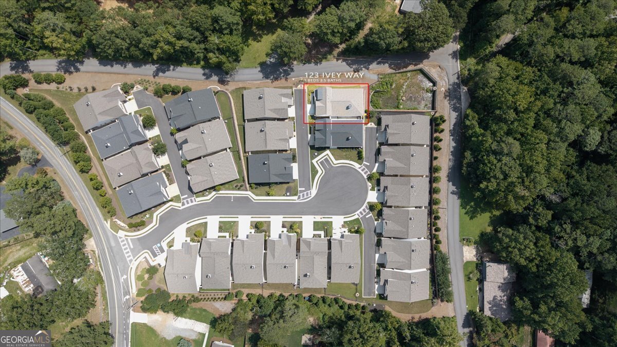 123 Ivey Way Woodstock - 30