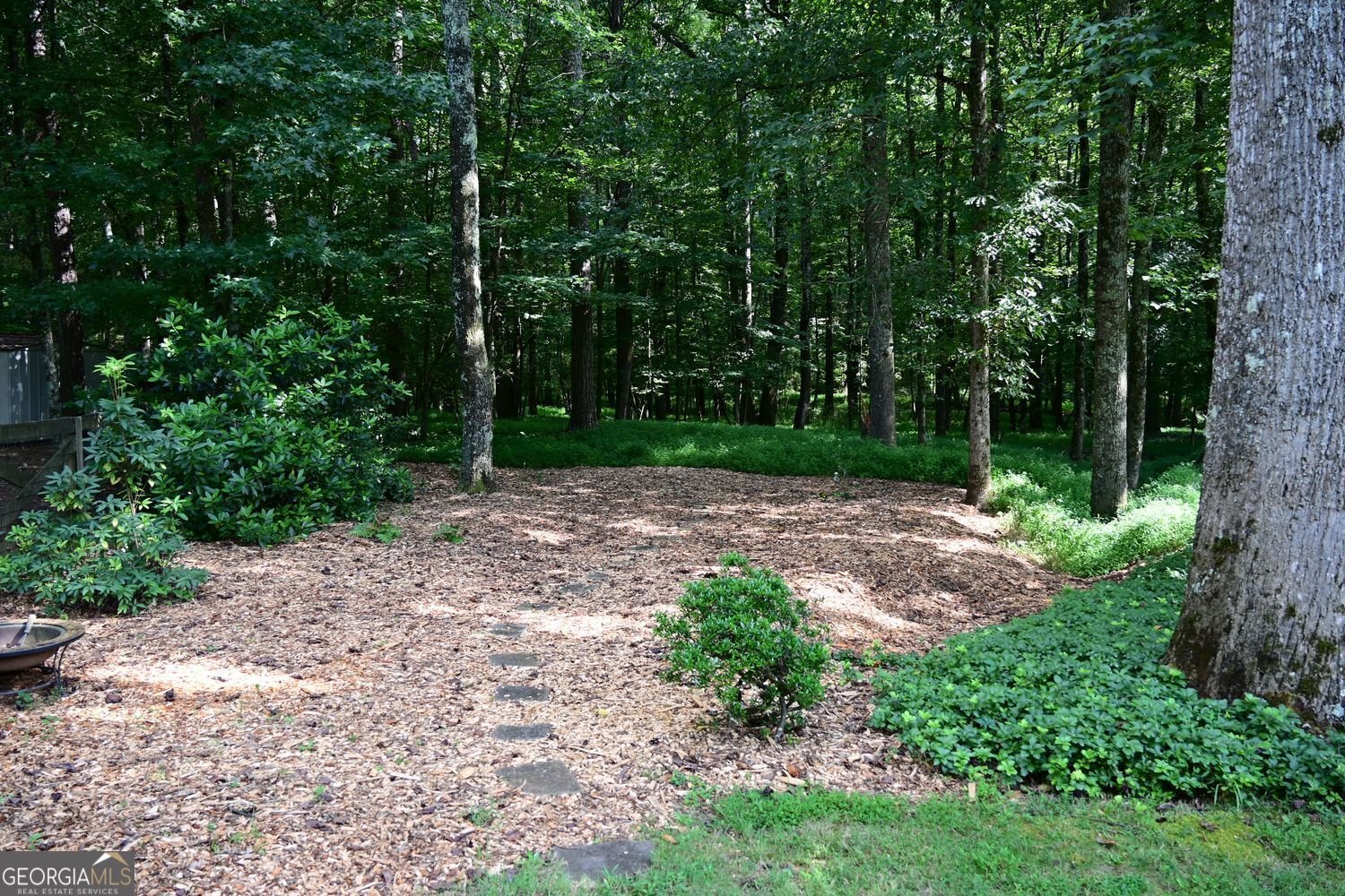 4865 Settles Point Road Suwanee - 20