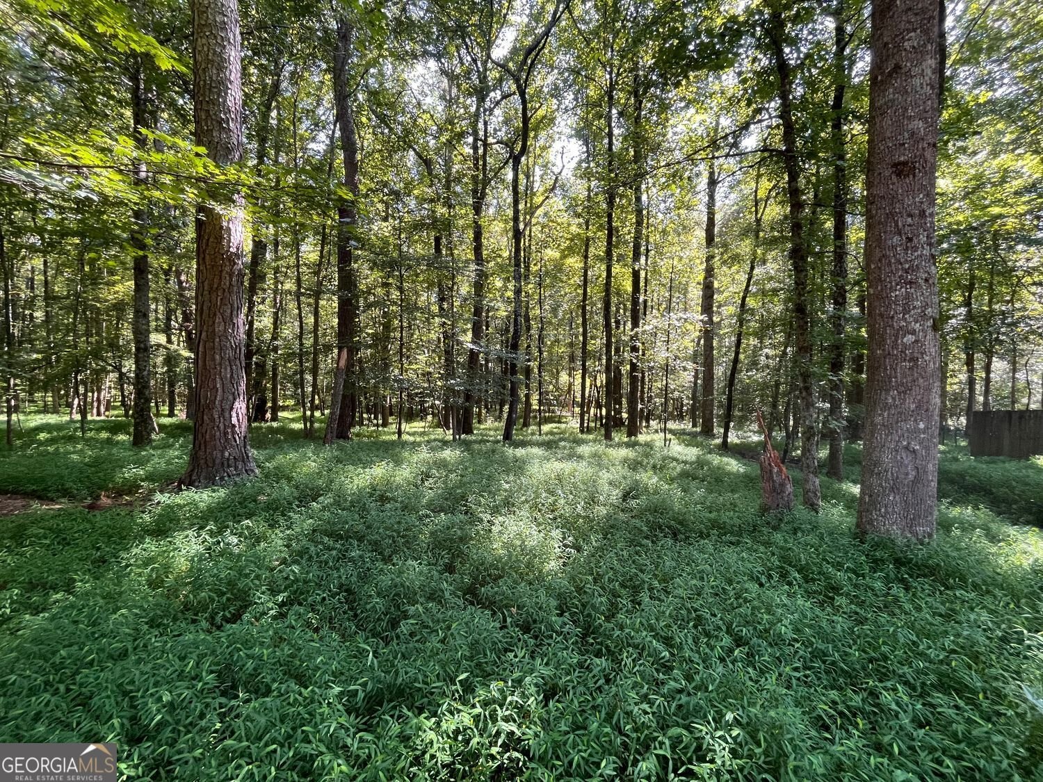 4865 Settles Point Road Suwanee - 25