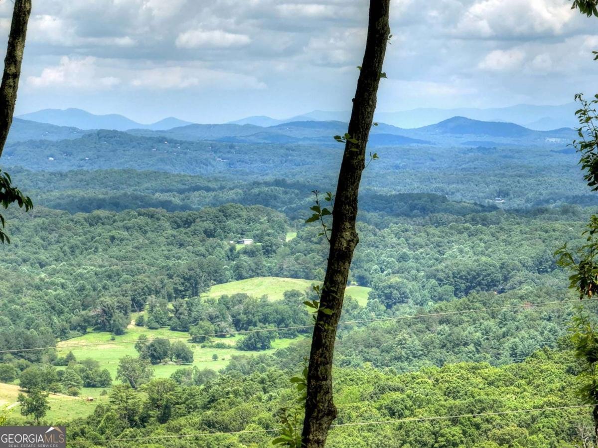 65 Highland Tower Road Blue Ridge - 24
