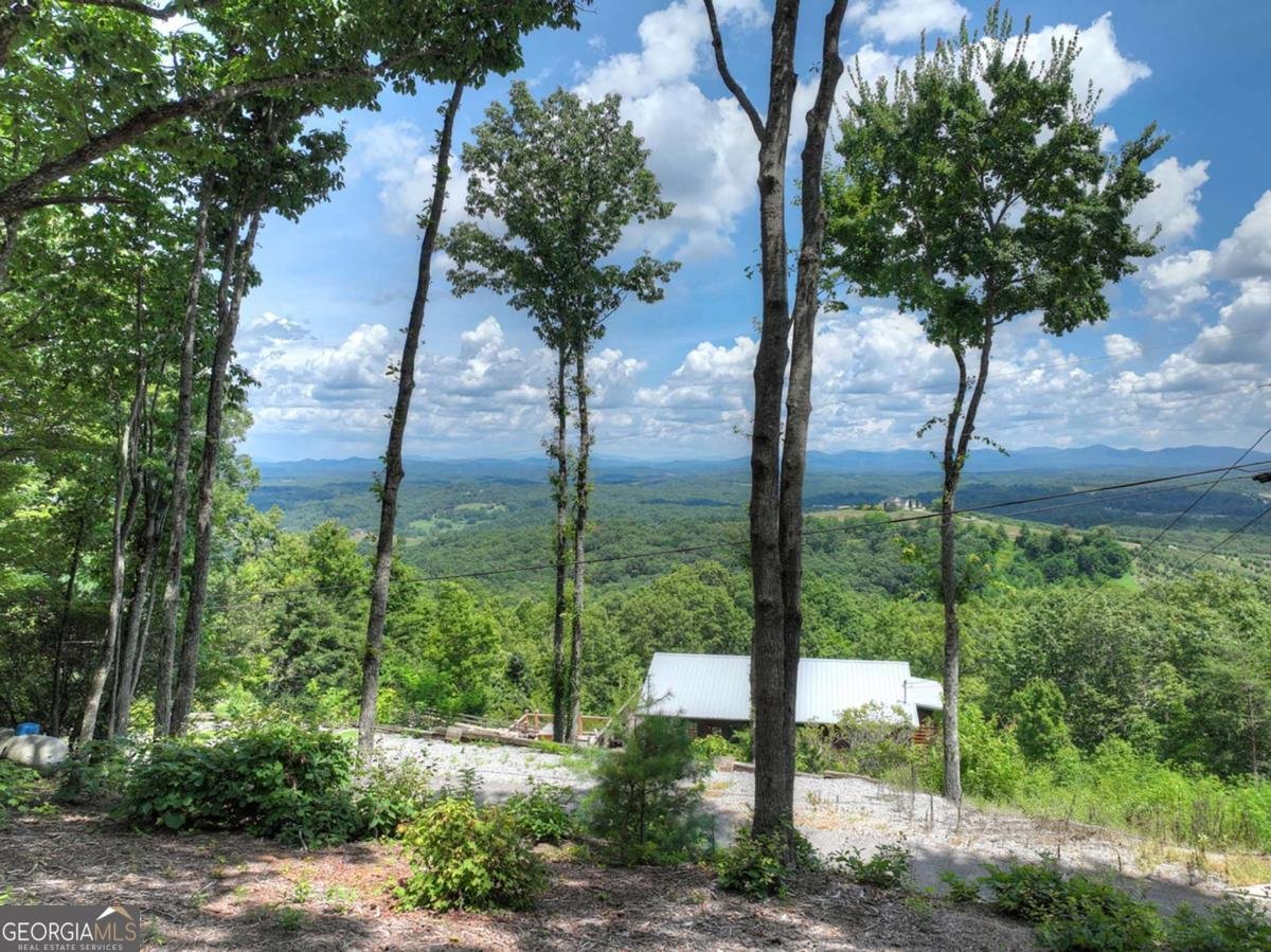 65 Highland Tower Road Blue Ridge - 42