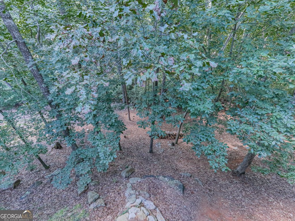 137 Blue Fox Loop Waleska - 10