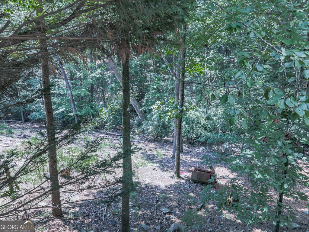 137 Blue Fox Loop Waleska - 29