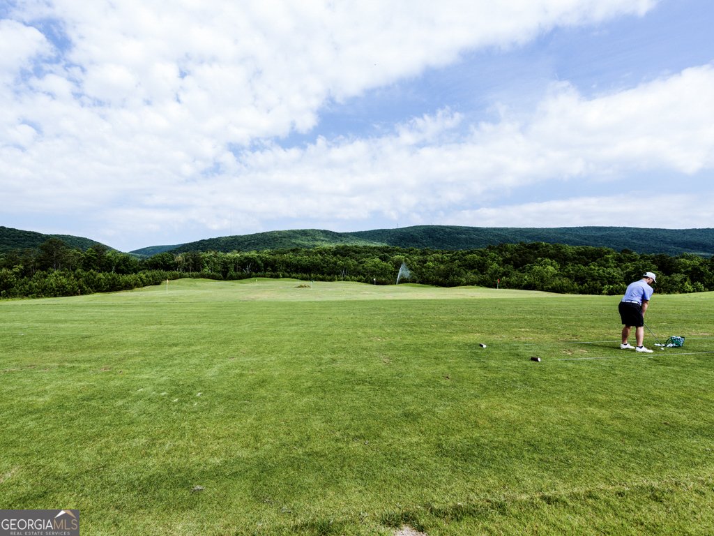 137 Blue Fox Loop Waleska - 36
