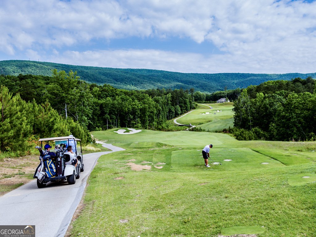 137 Blue Fox Loop Waleska - 37