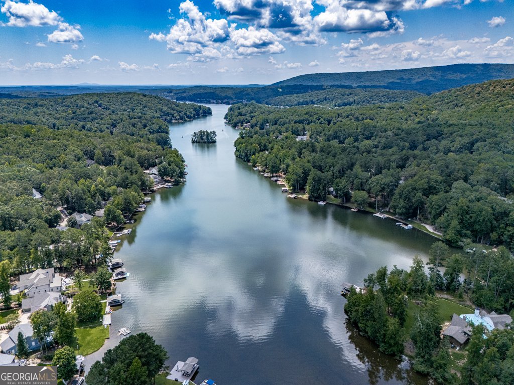 137 Blue Fox Loop Waleska - 39