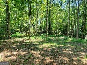 606 Keetor Road Talking Rock - 30